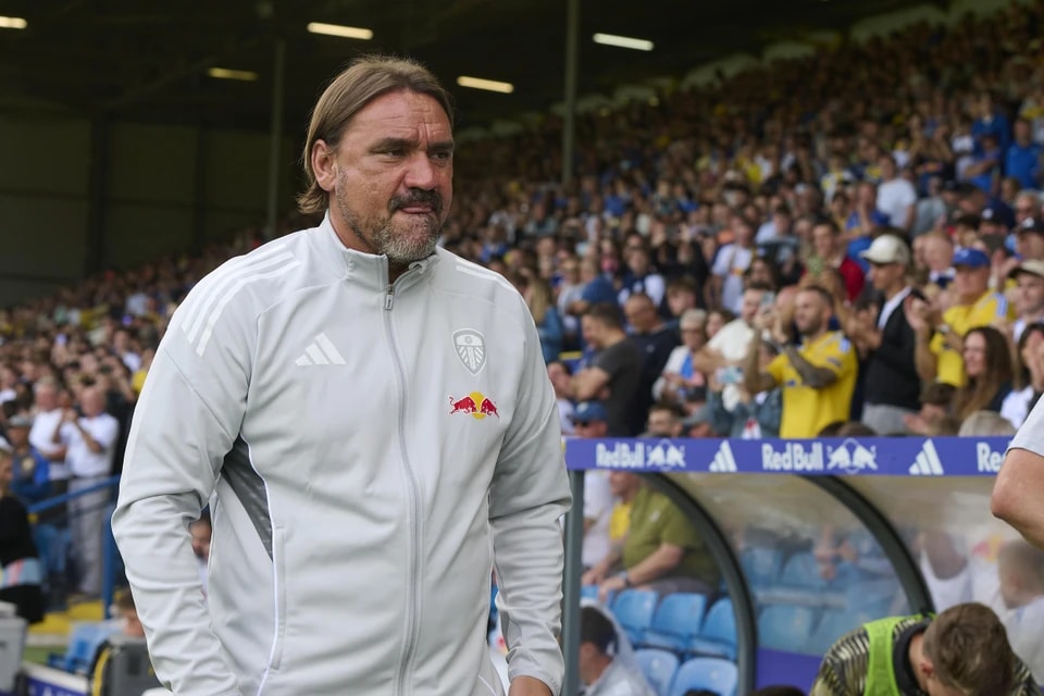 兰球探的注, amp